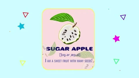 Sugar Apple Fruit Flashcard Animated Motion Graphic Stock Footage 338132331