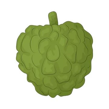 Sugar Apple illustration Stock Illustration