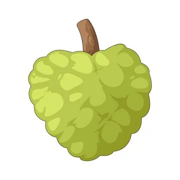 Sugar Apple illustration Stock Illustration