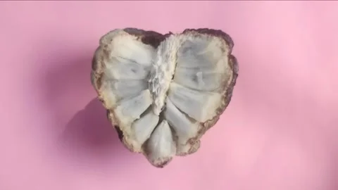Sugar apple Isolated on Pink Background Stock Footage 301263242