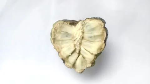 Sugar apple Isolated on White Background Stock Footage 301263249