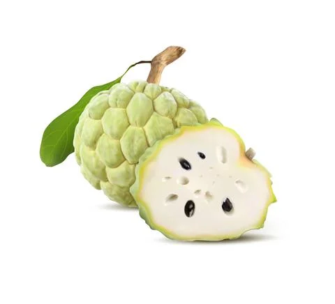 Sugar apple or custard apple isolated on white background with clipping path and Stock Illustration