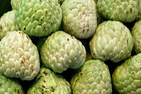 Sugar apple Stock Photos