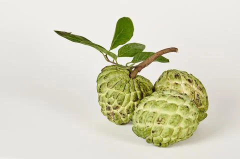Sugar apple on white Foto stock