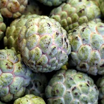 Sugar apples Stock Photos