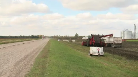 Sugar Beet Farming Operation Stock Footage 44467232