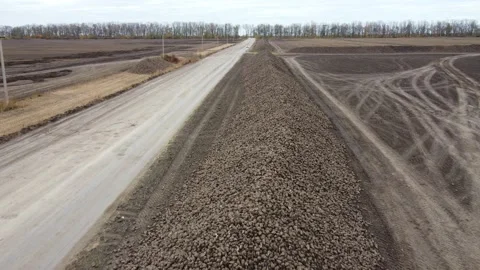 Sugar beet Stock Footage 163932484