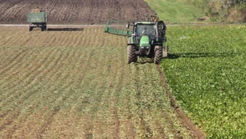 Sugar beet harvest Vídeos de archivo 8766548