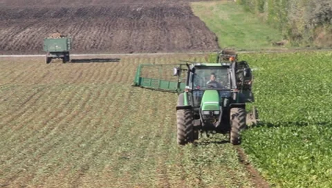 Sugar beet harvest Vídeos de archivo 8766564