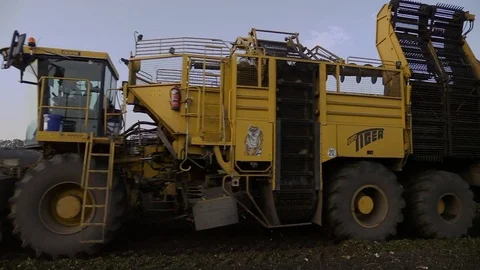 Sugar beet harvest with modern combines. Stock Footage 73879190