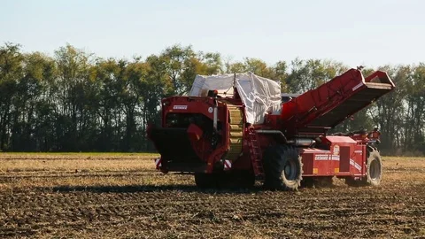 Sugar beet harvest with modern combines. Stock Footage 73883564