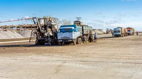 A sugar beet harvest in progress - Tractor and trailer unload sugar beets. Stock Photos
