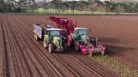 Sugar Beet Harvest UK Stock Footage 149115482