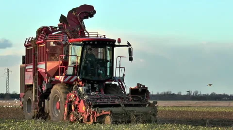 Sugar beet harvester - close front view. Video stock 47587793