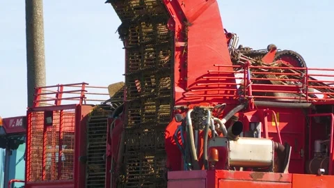Sugar Beet Harvester Conveyor System During Harvest Stock-Footage 344645787