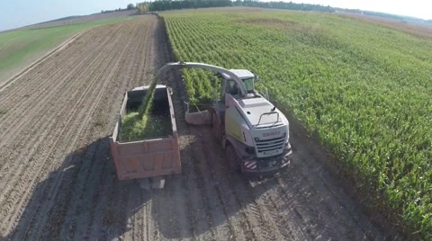 Sugar beet harvester Video stock 62811208