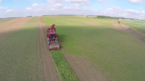 Sugar beet harvester Video stock 62813781