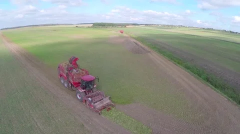 Sugar beet harvester Video stock 62813841