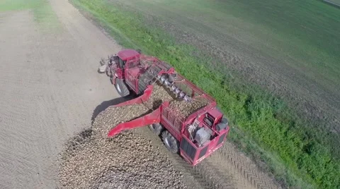 Sugar beet harvester Stock Footage 62814034
