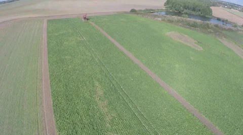 Sugar beet harvester Video stock 62814297