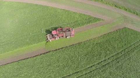 Sugar beet harvester Video stock 62814426