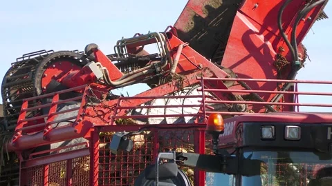 Sugar Beet Harvester Machinery During Harvest Stock-Footage 344584856
