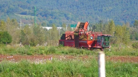 Sugar Beet Harvester Working in Agricultural Field Stock-Footage 344584359