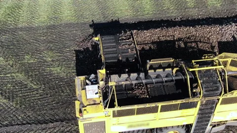 Sugar Beet Harvesting Stock Footage 341266465