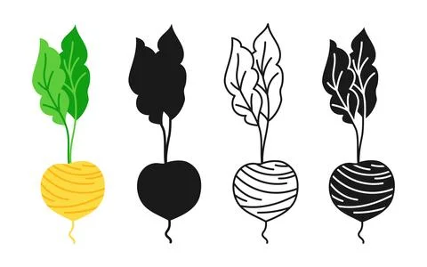 Sugar beet linear icon cartoon symbol set food silhouette shape doodle beetroot Stock Illustration