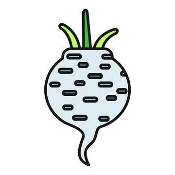 Sugar beet plant root vegetable drawing icon Stock Illustration