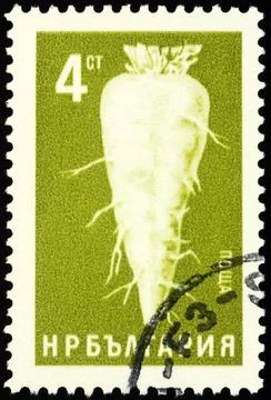 Sugar beet on postage stamp Stock Photos