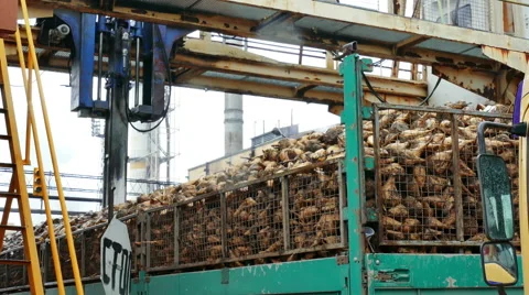 Sugar Beet Processing to the Final Product 스톡 동영상 67748700