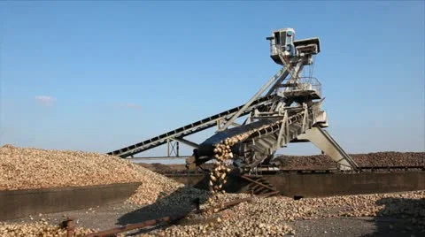 Sugar Beet Processing Stock Footage 24658453