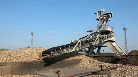 Sugar Beet Processing Stock Footage 24658461