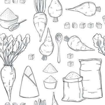 Sugar beet.  Vector   pattern. Stock Illustration