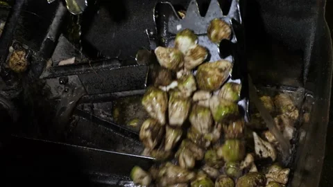 Sugar beet is washed at the factory. Vídeos de archivo 141536569