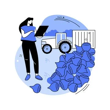 Sugar beets processing isolated cartoon vector illustrations. イラスト素材