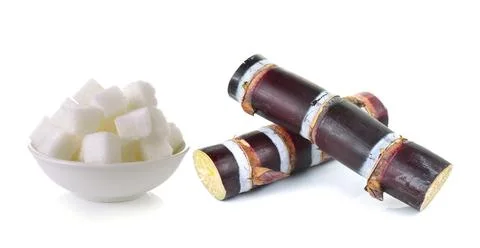 Sugar cane and sugar cube on white background Stock Photos