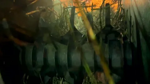 Sugar cane crushing down in Sugar Mill Stock Footage 240395645