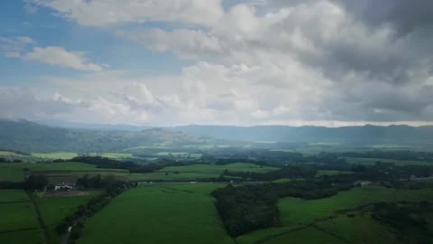 Sugar Cane Harvest Hyperlapse El Salvador Stock Footage 147002116