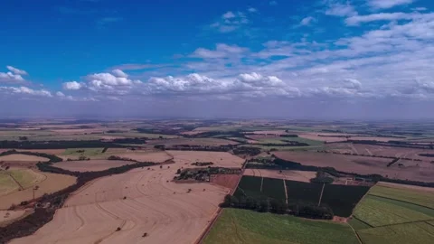 Sugar cane harvest hyperlapse Stock Footage 158672608