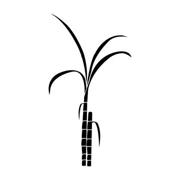 Sugar cane icon Stock Illustration