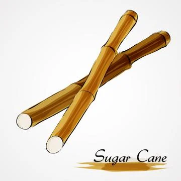 Sugar cane Illustrazione stock