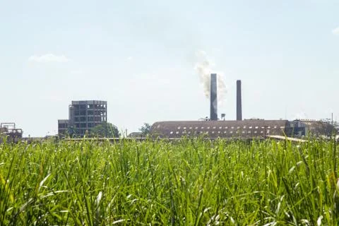 Sugar cane industry Stock Photos