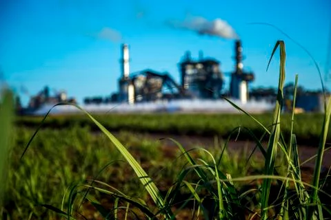 Sugar cane industry Stock Photos