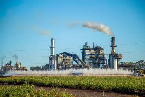 Sugar cane industry Stock Photos