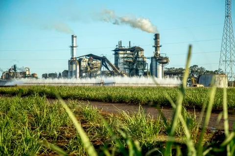 Sugar cane industry Foto stock