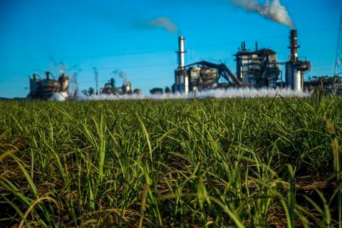 Sugar cane industry Foto stock