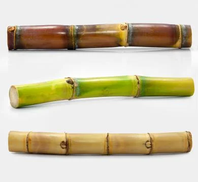Sugar cane isolated on white background Stock Photos