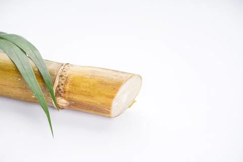 Sugar cane isolated on white background with space for text, closeup. Stock Photos